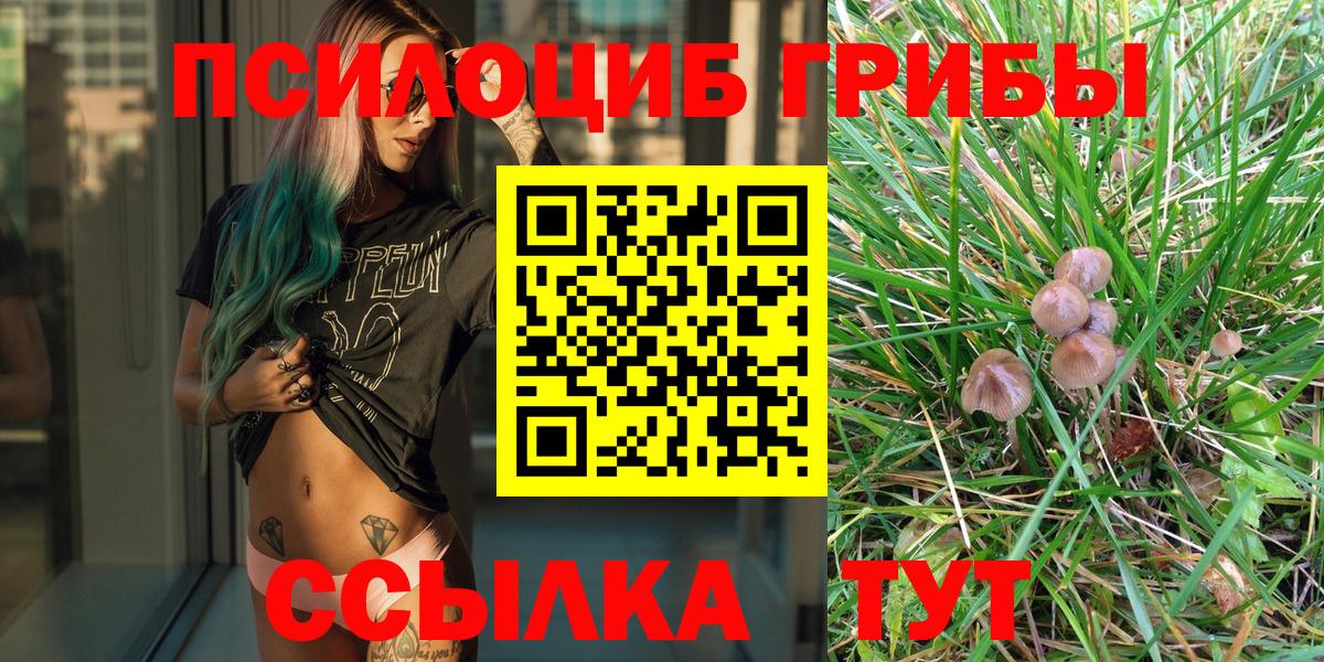Ипатово  Псилоцибиновые грибы Psilocybe  где купить   Вход с VPN 