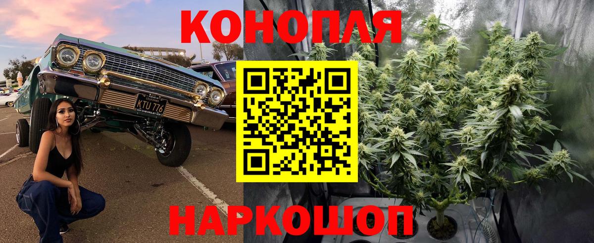 Бошки марихуана план Ипатово